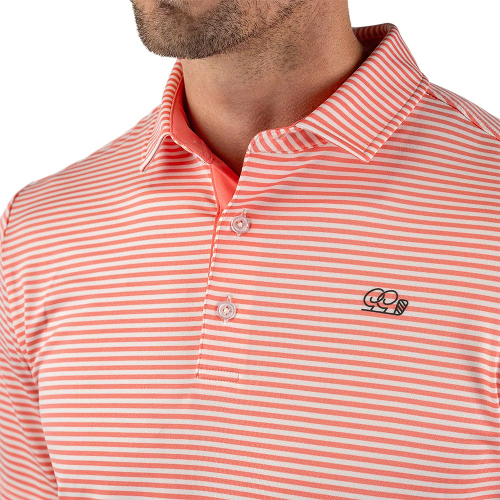 Gila River Polo - Image 4