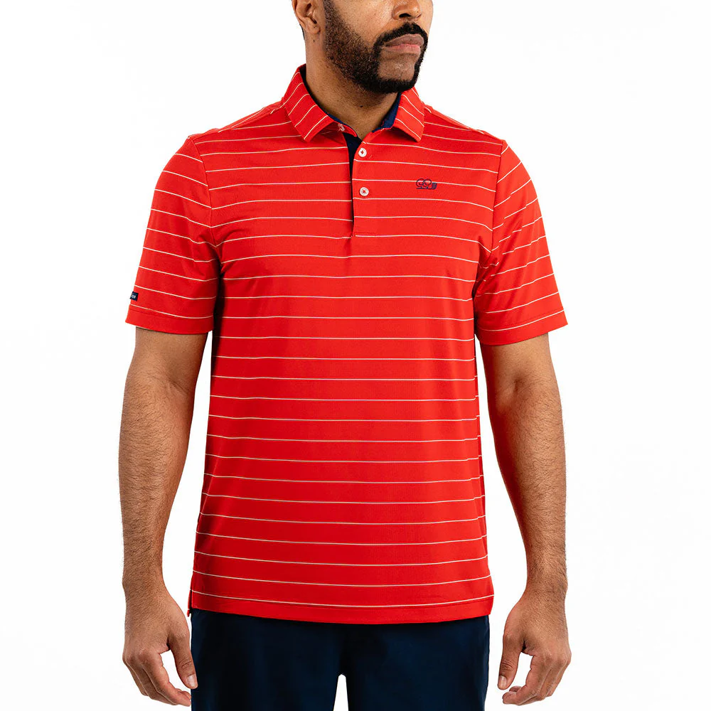 Striped It Polo - Image 3